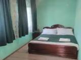 Standard Double room with garden view