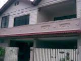 Run of House