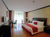 Deluxe Double room with balcony and with mountain view