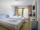 Standard Double room with pool view