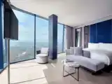 Luxury Double Suite with park view