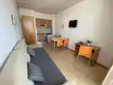 Standard Apartment with pool view