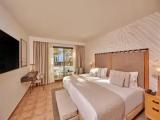 Double room with pool view