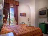 Superior Double room with garden view