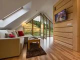 Deluxe Apartment with balcony and with mountain view