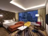 Deluxe Double Suite with city view