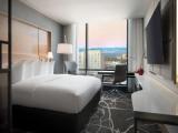 1 Bedroom Single Suite