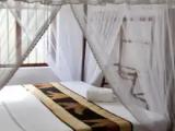 Economy Single room with courtyard view