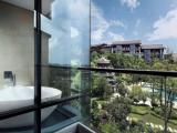Deluxe Double room with garden view