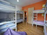 Bed in Dorm (female dorm)