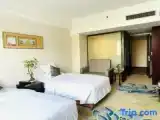 Standard Twin room with garden view