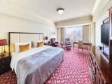 Deluxe Imperial Floor Double room with park view