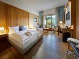 Standard Double room with balcony and with mountain view