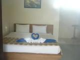 Standard Double room with garden view