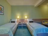 Standard Double room with garden view