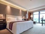 Luxury Suite
