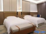 Executive Twin room
