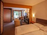 Standard Double Basement room