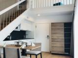 Deluxe Suite with balcony