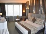 Standard room with mountain view