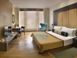 Deluxe Double room with city view