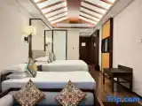 Standard Triple Family room