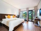 Deluxe Double room with garden view