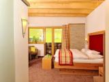 Deluxe Double room with balcony and with mountain view