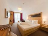 Superior Double room with balcony and with mountain view