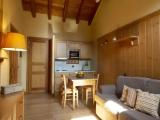 1 Bedroom Studio with mountain view