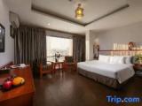 Executive Single room