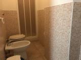 1 Bedroom Standard Triple room