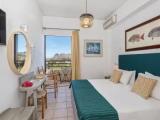 Double room with mountain view
