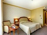 Standard room with park view
