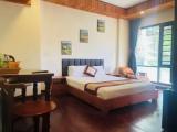 Deluxe Double room with city view