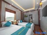 Superior Twin room with garden view