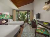 Deluxe Double room with balcony and with river view