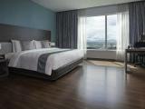 Deluxe Double room with city view