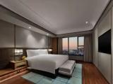 Executive Double Suite