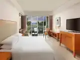 Superior Double room with balcony and with ocean view