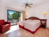 Standard Double room with pool view