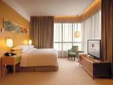 1 Bedroom Presidential Double Suite