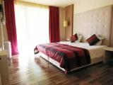 Deluxe Double room with balcony and with garden view