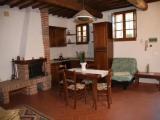 Basement Apartment