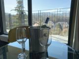 1 Bedroom Deluxe Double room with balcony and with park view