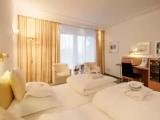 Standard Double room with garden view