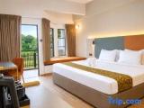Standard Double room with garden view