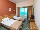 Standard Double room with park view