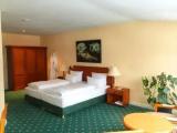 Standard Duplex room