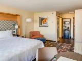Premium Double room with balcony and with pool view